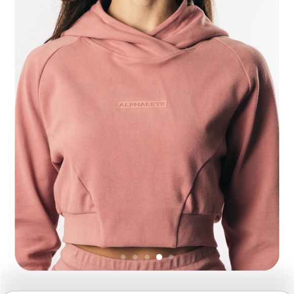 Alphalete identity pro crop hoodie in cranberry ice - Picture 4 of 16